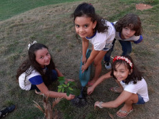 Crianças: depois das tampinhas, as plantinhas e um festão...