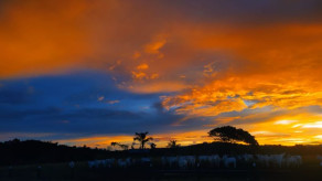 Concurso de fotografia vai premiar imagens da natureza em Castanheira