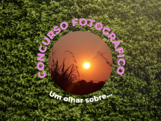 Conheça a Premiação do Concurso Fotográfico sobre a natureza castanheirense