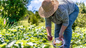 Agricultura familiar tem 19% mais recursos no Plano Safra 2021/2022