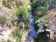 Águas  escassas na cidade: Origem em cima e embaixo da terra