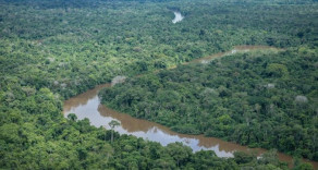 Castanheira: O homem que viveu entre os índios