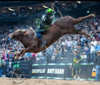 Cowboy de MS é bi campeão Mundial de montaria em touros