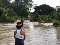 Chuvas fazem estragos em Castanheira