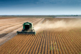 Mato Grosso lidera ranking dos 100 municípios mais ricos do agro