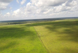 Fazenda de Mato Grosso é modelo para o futuro