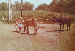 Antônio Maria e Leny: 42 anos de Castanheira