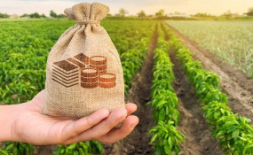 Agro: Fávaro anuncia mais R$ 5 bi para linha de crédito