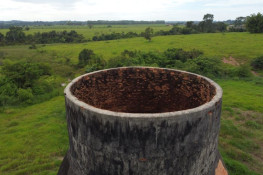 Documentário vai mostrar Castanheira do alto