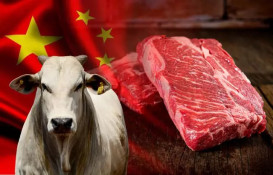 Pecuaristas de MT comemoram retomada da compra de carne bovina pela China