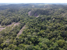 Castanheira: Fazendas fornecem cenários para Documentário Especial