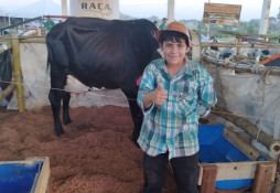 Domingo: As expectativas do último dia de Torneio Leiteiro