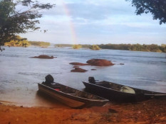 "Olhar sobre a natureza castanheirense..." os vencedores do Concurso