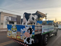 Vaca de Castanheira chama atenção em Cavalgada da EXPOJUINA