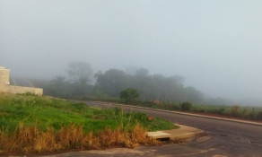 Castanheira: Recorde de temperatura à vista?