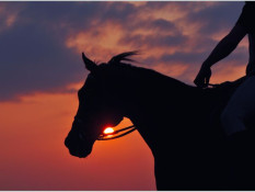 Castanheira: Show sertanejo, cavalgada e concurso de beleza entre os destaques do aniversário