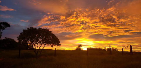 Foto de Mayara Vargens Cardoso tirada na Fazenda Paraiso