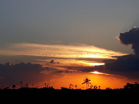 Foto da leitora Maria Pereira