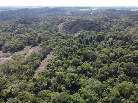 Fazenda Retiro Novo