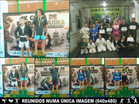 Kung Fu  e Sanda: Castanheira tem Equipe Destaque em evento com 13 municípios