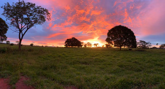 Imagem rural de Castanheira